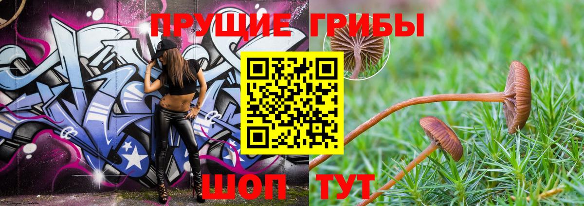 Бутурлиновка  Галлюциногенные грибы Psilocybine cubensis  Псилоцибиновые грибы Psilocybe  где купить   Вход с VPN 